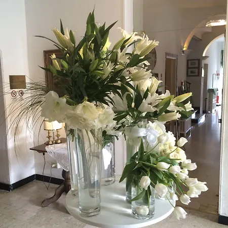 伊夫林波特索雷酒店