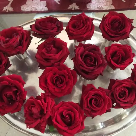 Hotel Eveline Portosole Sanremo