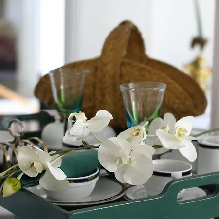 伊夫林波特索雷酒店 4* 圣雷默