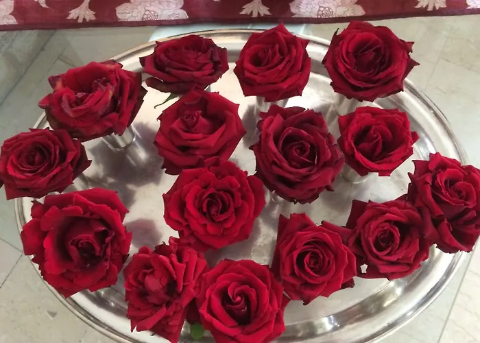 Hotel Eveline Portosole San Remo