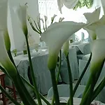 Eveline Portosole 4* 산레모