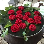 Готель Eveline Portosole 4*