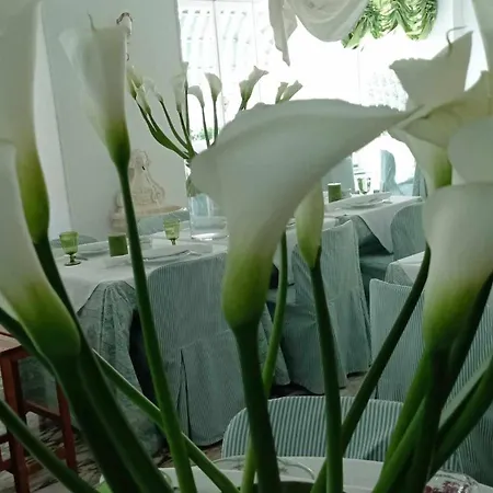 Eveline Portosole 4* Санремо