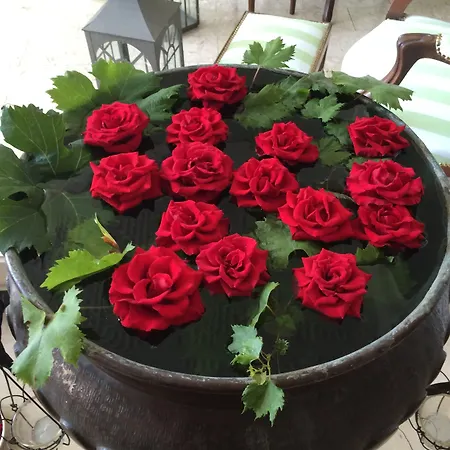 Szálloda Eveline Portosole 4*