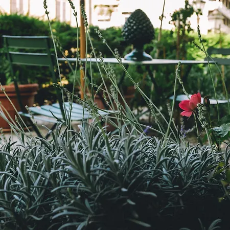 Eveline Portosole 4*