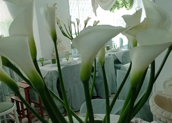 Eveline Portosole 4* Sanremo