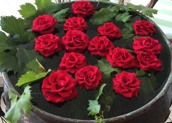 Otel Eveline Portosole 4*