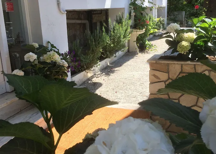 Hotel Eveline Portosole 4*