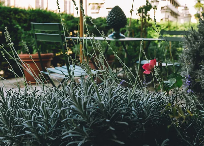 Eveline Portosole 4*