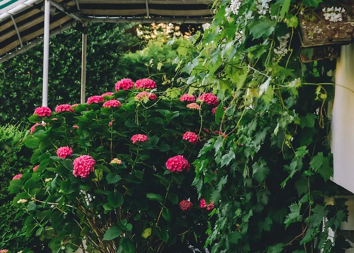 Hotel Eveline Portosole Sanremo